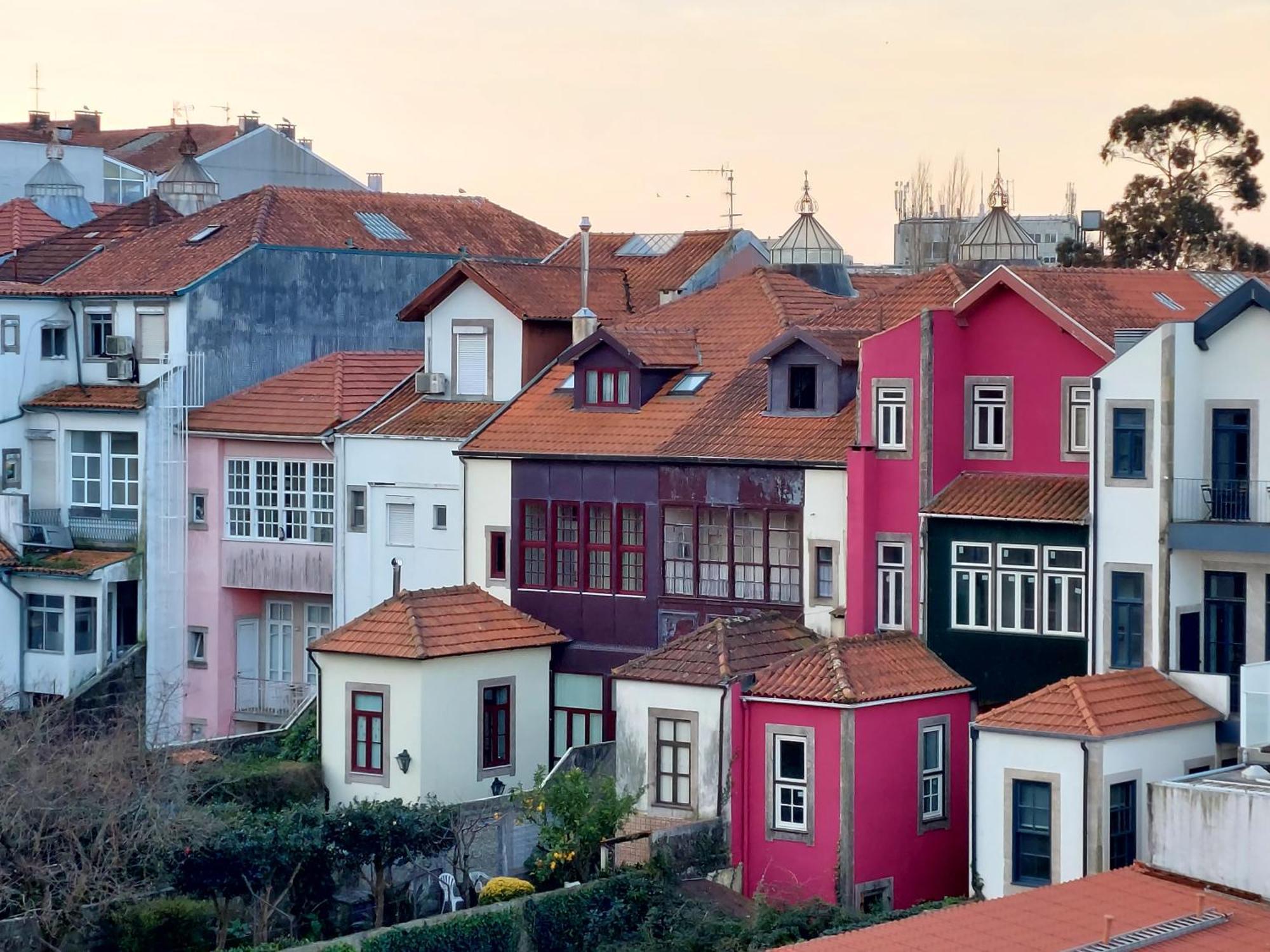 Le Chien Noir City Centre Porto Exterior photo